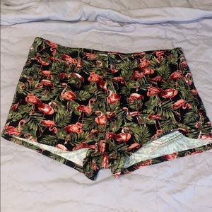 Flamingo Shorts